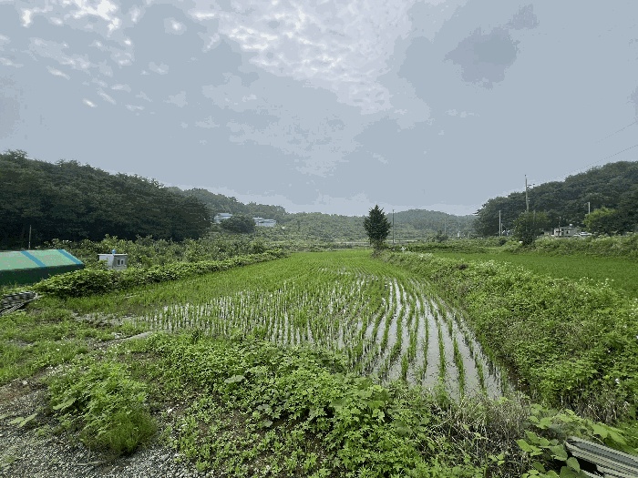 서산지원 2025타경51423-1 사진