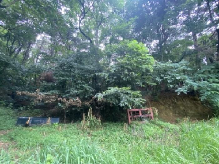 서산지원 2025타경51515-1 사진