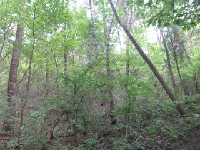 서산지원 2025타경51541-1 사진