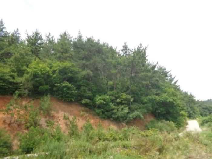 서산지원 2025타경51559-2 사진