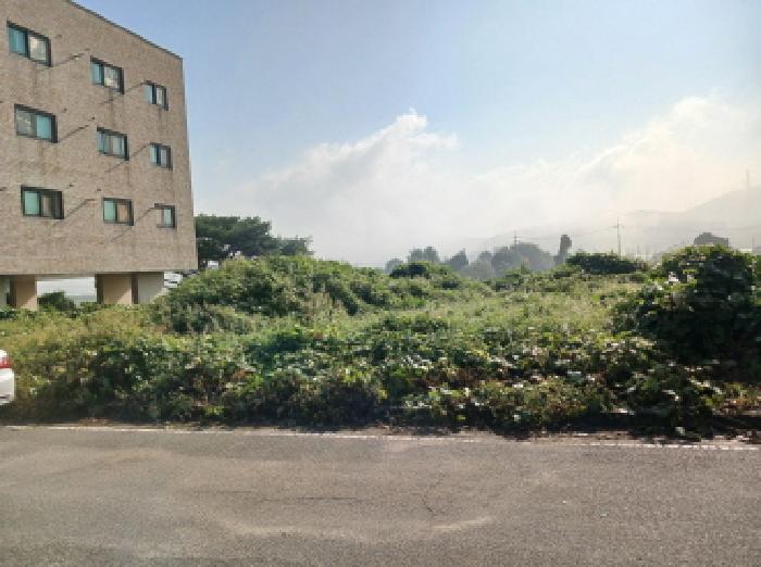 서산지원 2025타경51750-1 사진