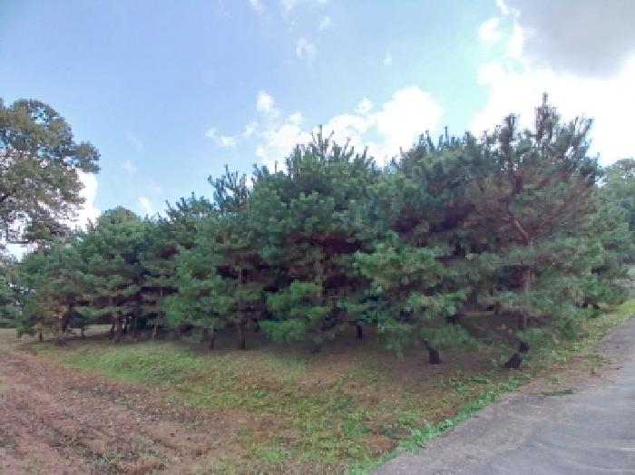 서산지원 2025타경51830-1 사진