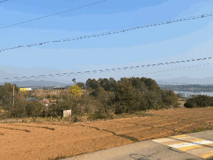 서산지원 2025타경51874-1 사진