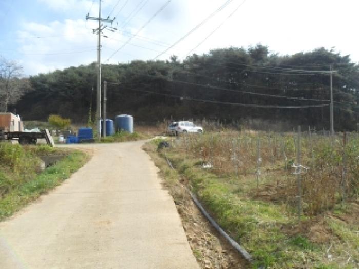 서산지원 2025타경51884-1 사진