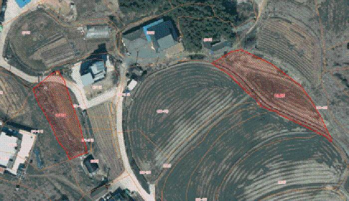 서산지원 2025타경51974-2 사진