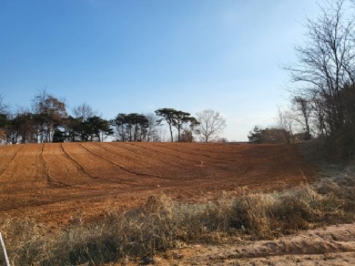 서산지원 2025타경52085-1 사진