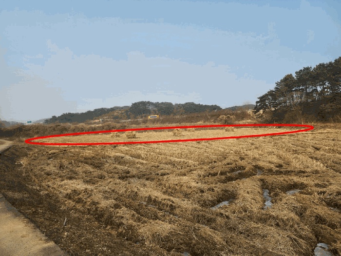 서산지원 2026타경19-2 사진