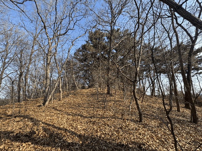 서산지원 2026타경50006-1 사진