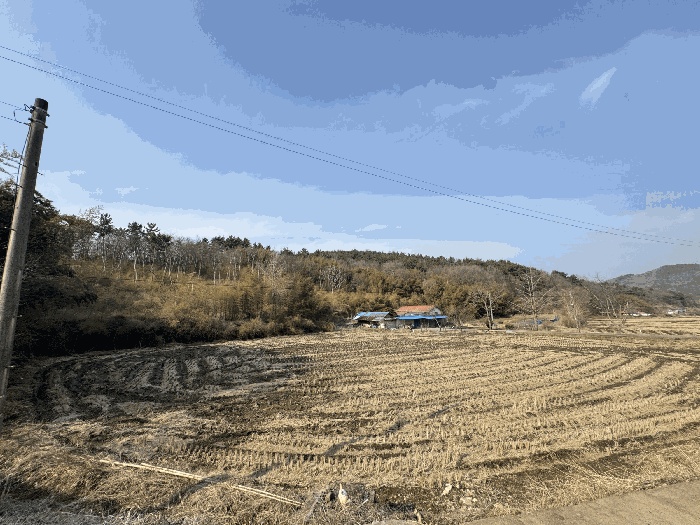 서산지원 2026타경50216-1 사진