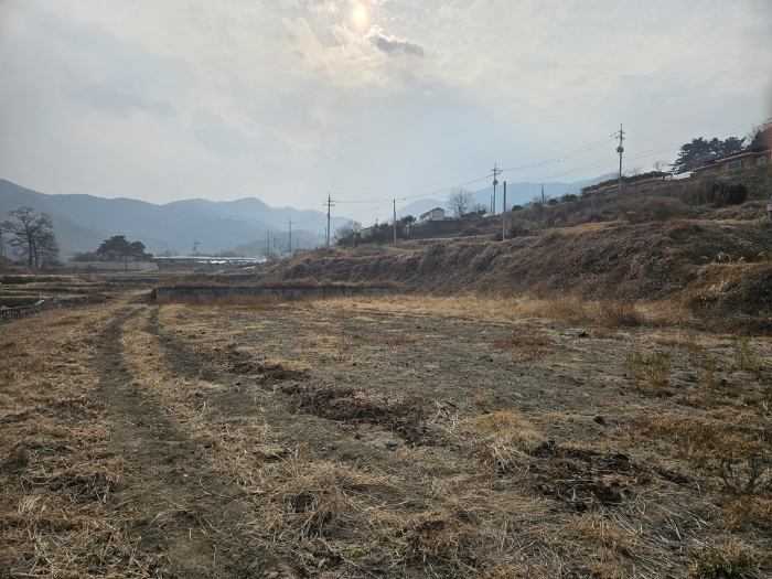 대구지법 2024타경11603-1 사진