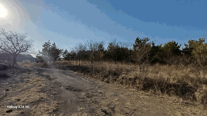 대구 2025타경639-2 사진