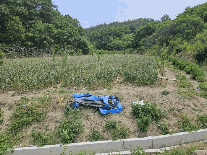 대구지법 2025타경851-1 사진
