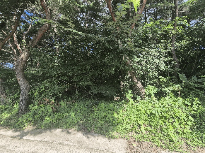 대구지법 2025타경1007-1 사진