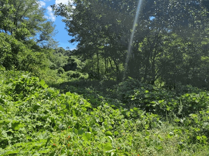 대구지법 2025타경1051-2 사진