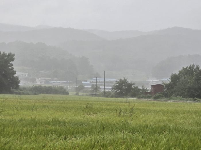 2025타경1094-1 사진