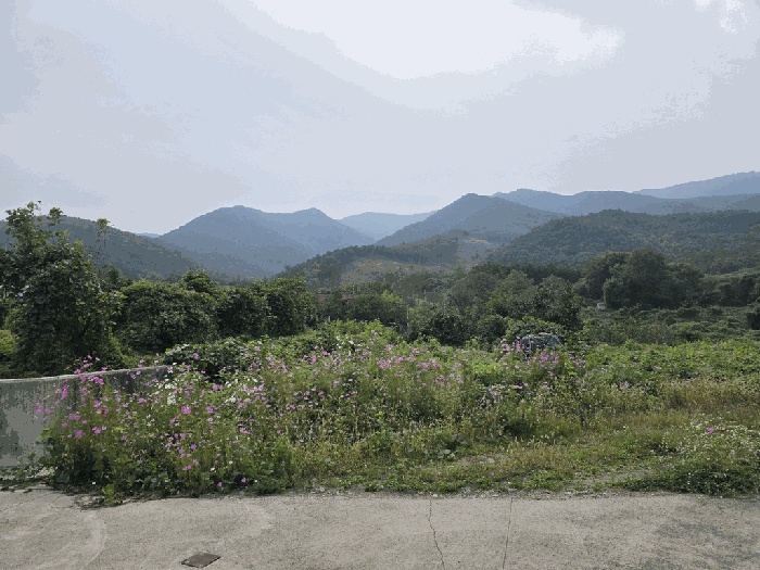 대구지법 2025타경1142-1 사진