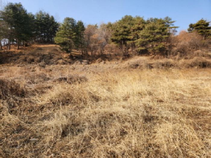 대구지법 2025타경1346-2 사진