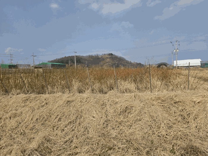 대구지법 2025타경6431-1 사진