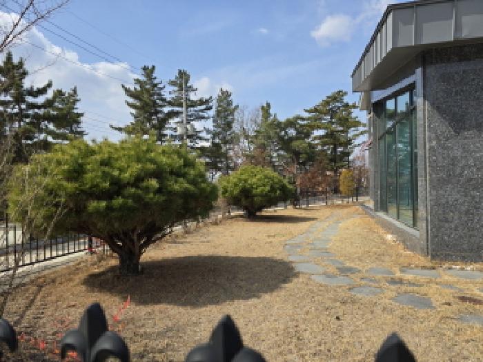 대구지법 2025타경6868-1 사진