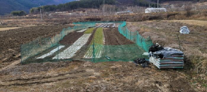 대구지법 2025타경7319-1 사진