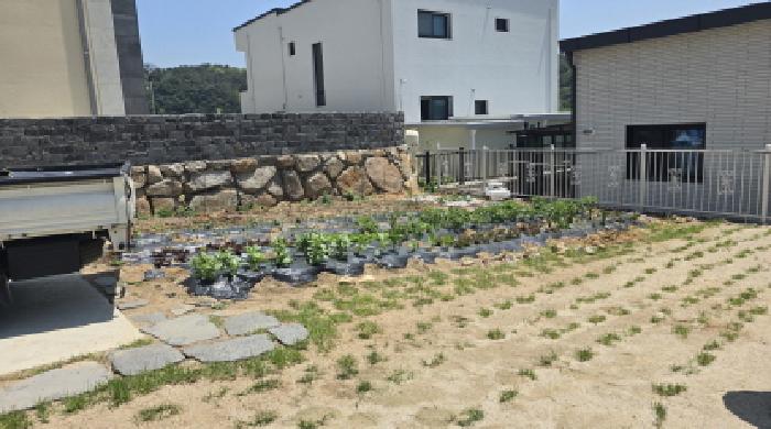 대구지법 2025타경7352-2 사진