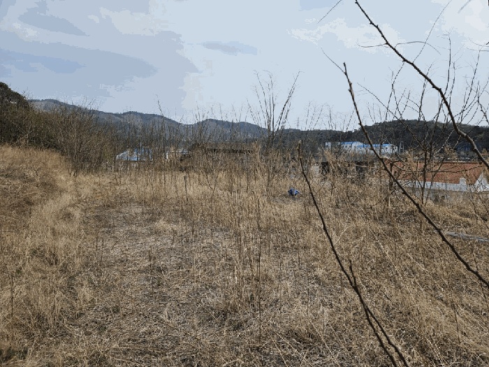 대구지법 2025타경7659-1 사진
