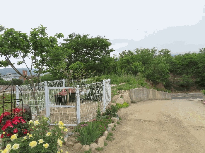 대구지법 2025타경8059-1 사진