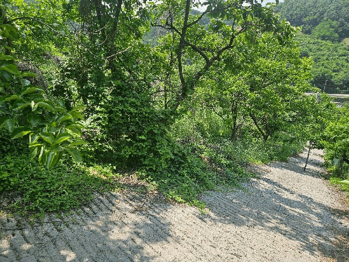 대구지법 2025타경8065-1 사진