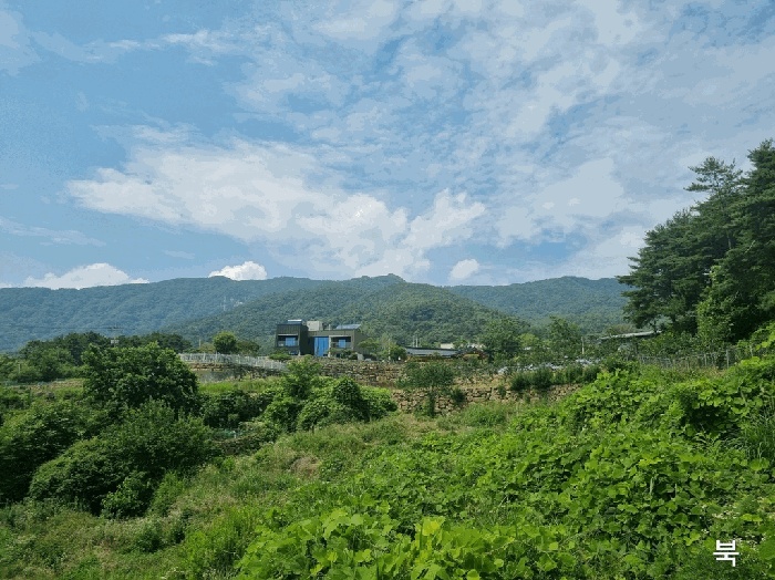 대구지법 2025타경8215-1 사진