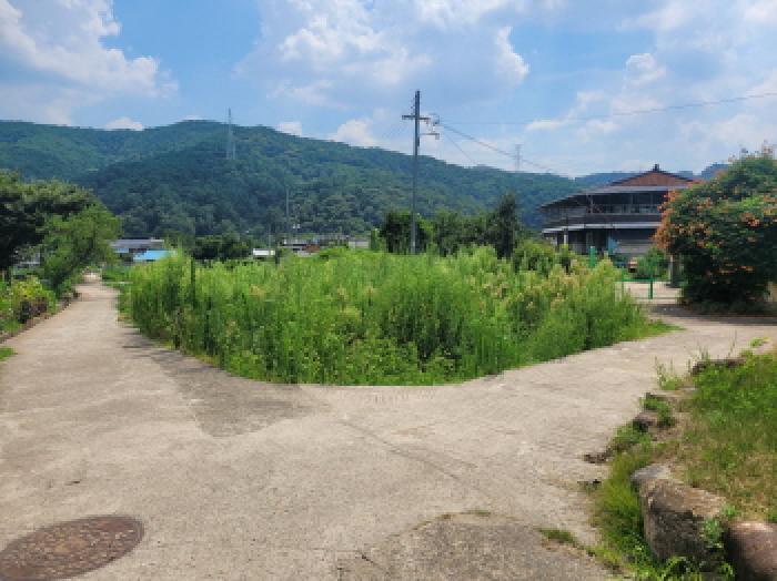 대구지법 2025타경8542-1 사진
