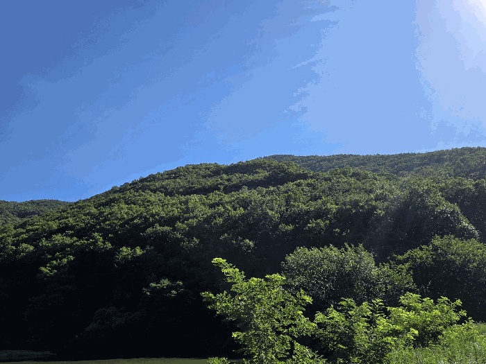 대구지법 2025타경8639-1 사진