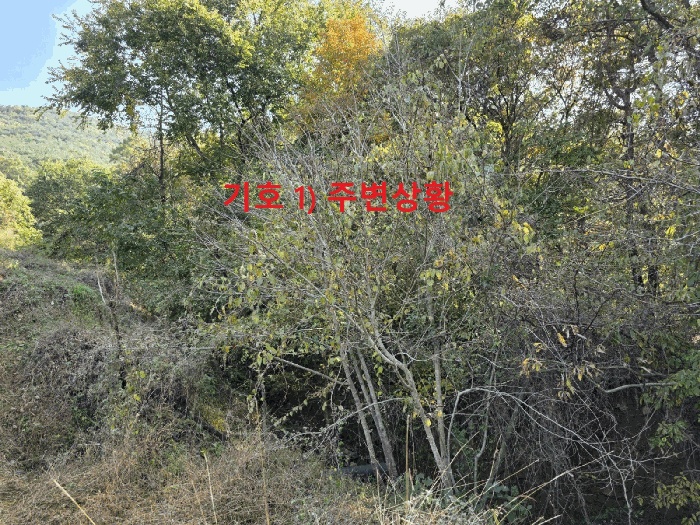 대구지법 2025타경9478-2 사진