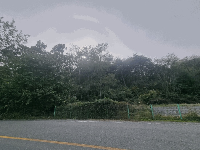 대구지법 2025타경9541-1 사진