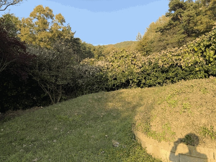 대구지법 2025타경9609-2 사진