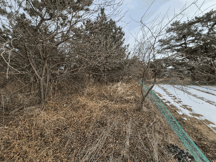 대구지법 2025타경9944-1 사진
