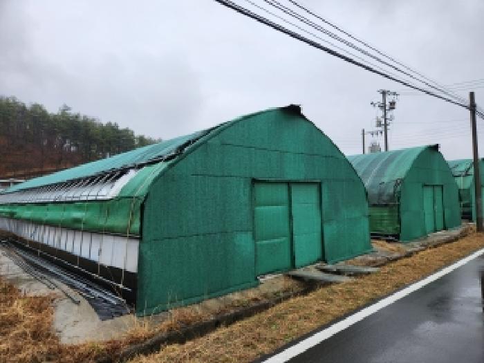 대구지법 2026타경100428-1 사진