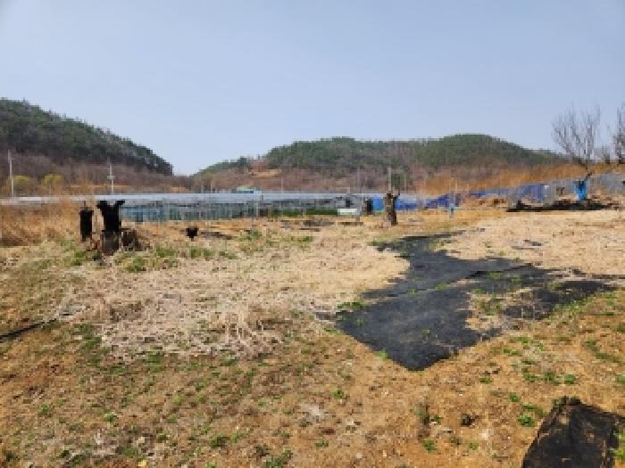 대구지법 2026타경100596-1 사진
