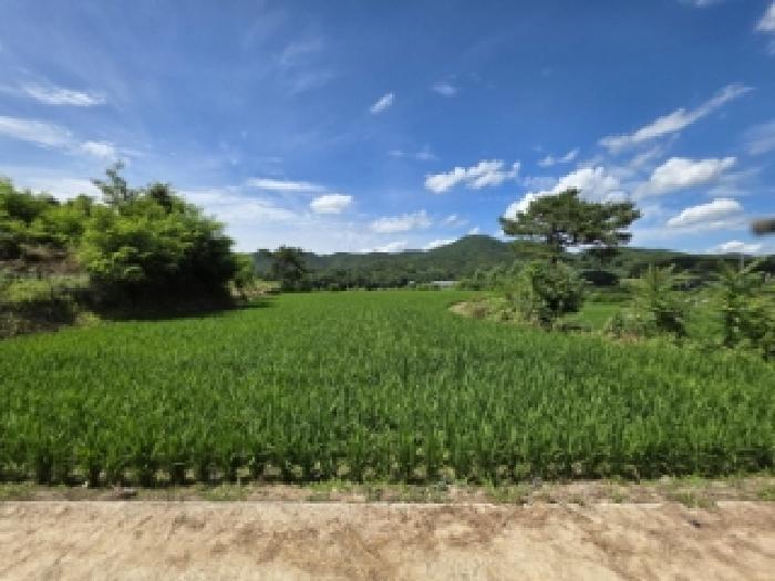 안동지원 2025타경10730-1 사진