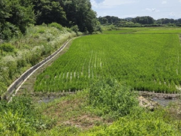 안동지원 2025타경10747-1 사진
