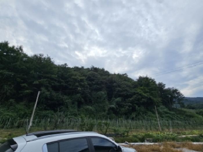 안동지원 2025타경11054-1 사진