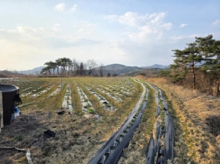 안동지원 2025타경100300-1 사진