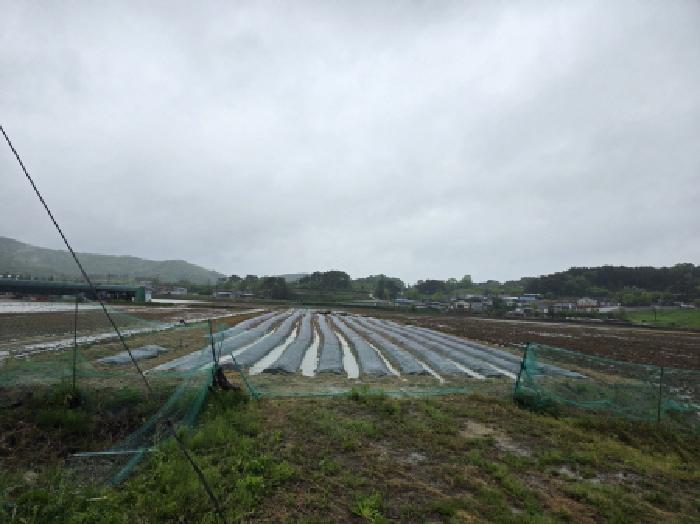 안동지원 2025타경100330-1 사진