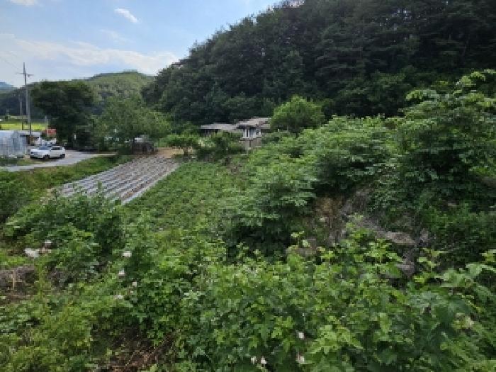 안동지원 2025타경100391-2 사진
