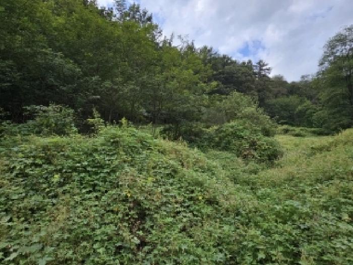 안동지원 2025타경100511-1 사진