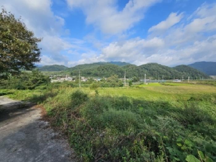 안동지원 2025타경100513-2 사진