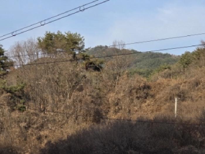 안동지원 2025타경100565-1 사진