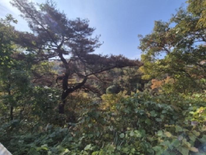 경주지원 2025타경560-1 사진