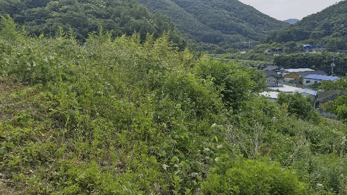 경주지원 2025타경10523-1 사진
