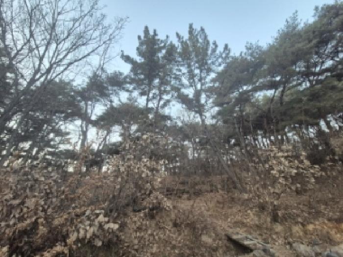 경주지원 2025타경10834-1 사진