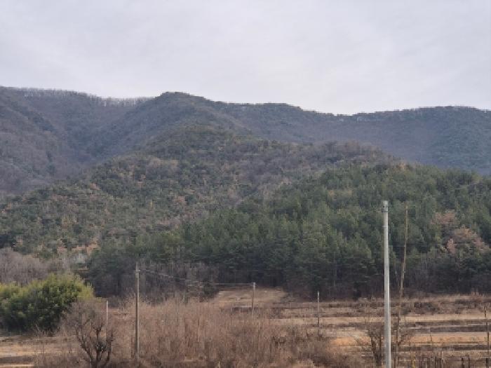 경주지원 2026타경9-1 사진